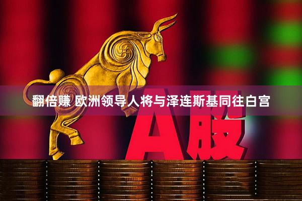 翻倍赚 欧洲领导人将与泽连斯基同往白宫