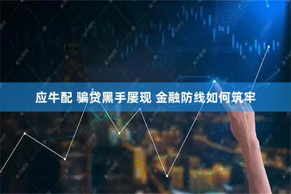 应牛配 骗贷黑手屡现 金融防线如何筑牢